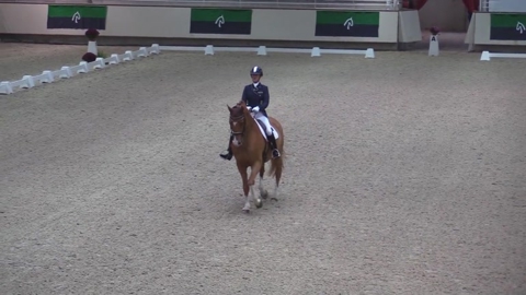 Image Julien Épaillard et Donatello d'Auge