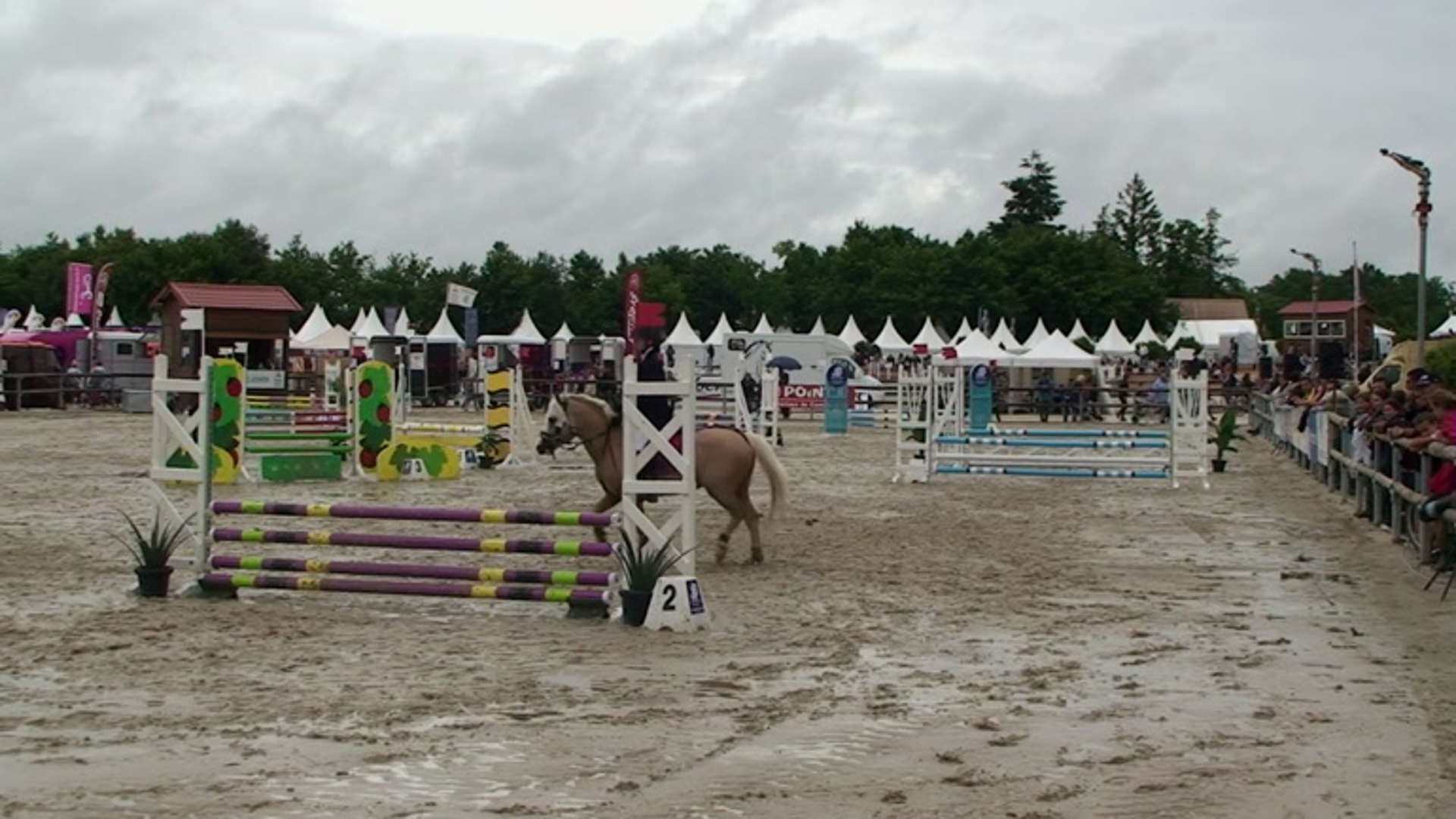 GRANDPRIX TV - Lamotte-Beuvron Open de France 2014 - Poneys - Poney 3B  Equipe ep2 - TELINE DE LA BONN - SHIRLEY HUGON