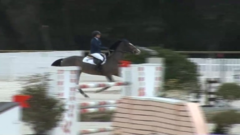 Image Julien Épaillard et Donatello d'Auge