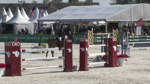 Image Julien Épaillard et Donatello d'Auge