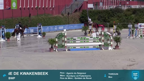 Image Julien Épaillard et Donatello d'Auge