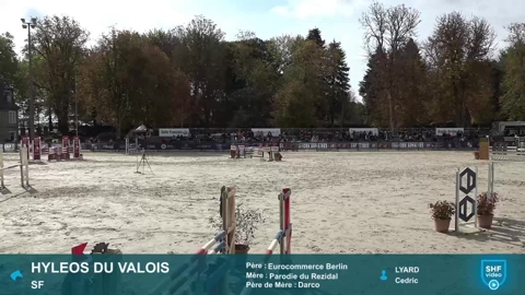 Image Julien Épaillard et Donatello d'Auge