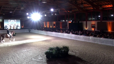 Image Julien Épaillard et Donatello d'Auge