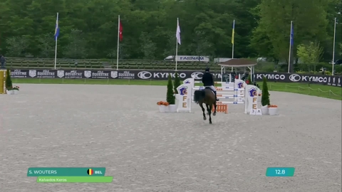 Image Julien Épaillard et Donatello d'Auge