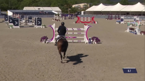 Image Julien Épaillard et Donatello d'Auge