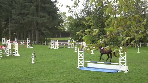 Image Julien Épaillard et Donatello d'Auge