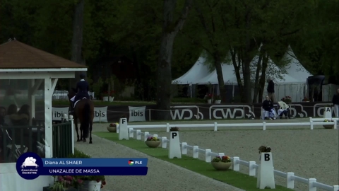 Image Julien Épaillard et Donatello d'Auge