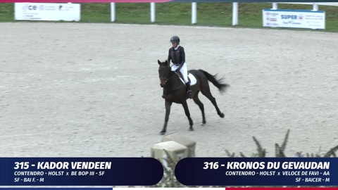 Image Julien Épaillard et Donatello d'Auge