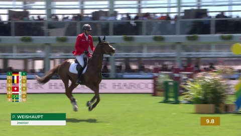 Image Julien Épaillard et Donatello d'Auge