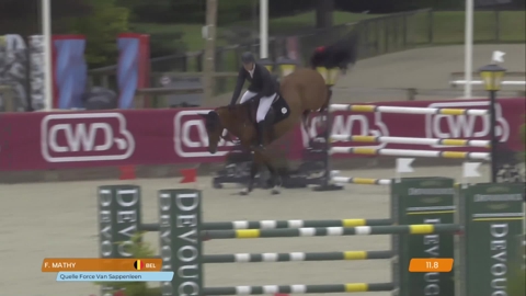 Image Julien Épaillard et Donatello d'Auge