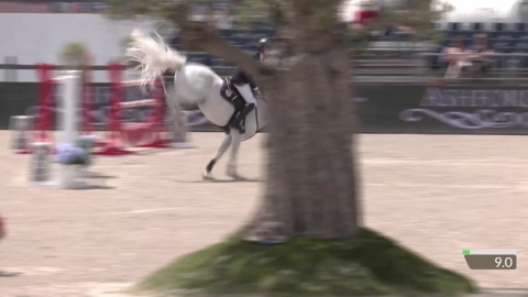 Image Julien Épaillard et Donatello d'Auge