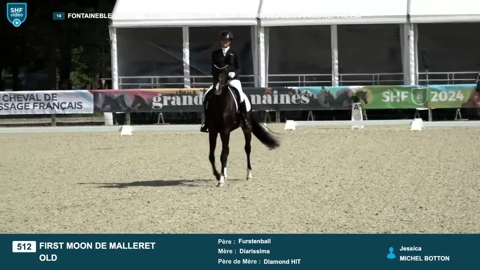 Image Julien Épaillard et Donatello d'Auge