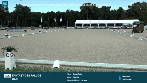 Image Julien Épaillard et Donatello d'Auge