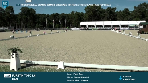 Image Julien Épaillard et Donatello d'Auge