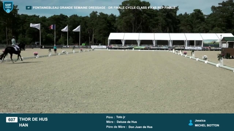 Image Julien Épaillard et Donatello d'Auge