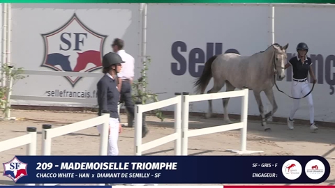 Image Julien Épaillard et Donatello d'Auge