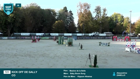 Image Julien Épaillard et Donatello d'Auge