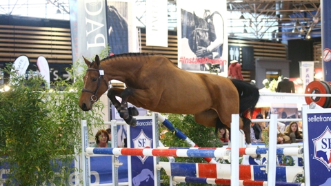 Image Julien Épaillard et Donatello d'Auge