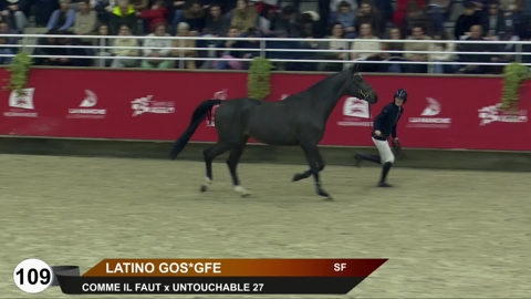 Image Julien Épaillard et Donatello d'Auge