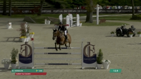 Image Julien Épaillard et Donatello d'Auge