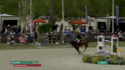 Image Julien Épaillard et Donatello d'Auge