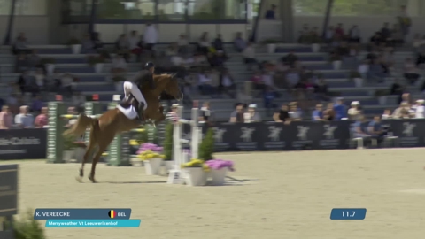 Image Julien Épaillard et Donatello d'Auge