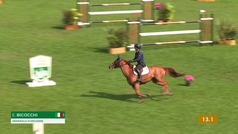 Image Julien Épaillard et Donatello d'Auge