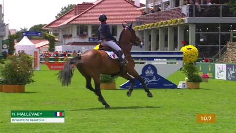 Image Julien Épaillard et Donatello d'Auge