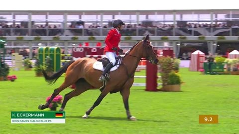 Image Julien Épaillard et Donatello d'Auge