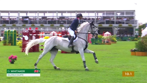 Image Julien Épaillard et Donatello d'Auge