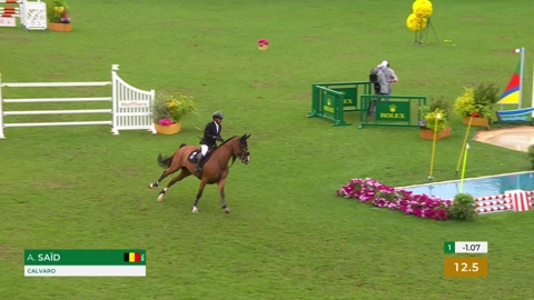 Image Julien Épaillard et Donatello d'Auge