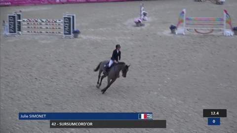 Image Julien Épaillard et Donatello d'Auge