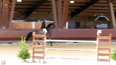 Image Julien Épaillard et Donatello d'Auge