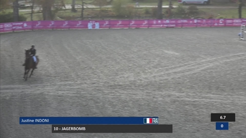 Image Julien Épaillard et Donatello d'Auge