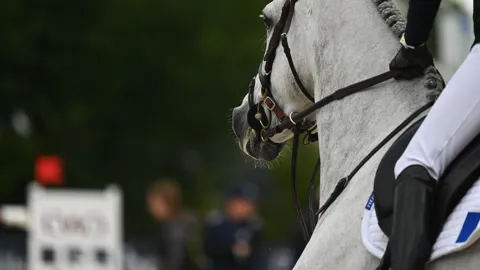 Image Julien Épaillard et Donatello d'Auge