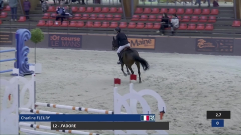 Image Julien Épaillard et Donatello d'Auge