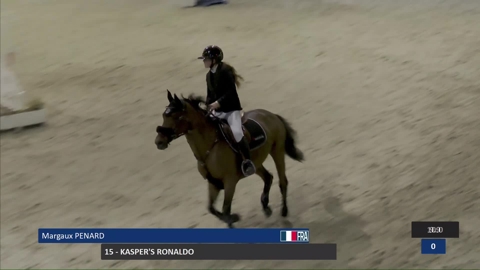 Image Julien Épaillard et Donatello d'Auge