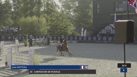 Image Julien Épaillard et Donatello d'Auge