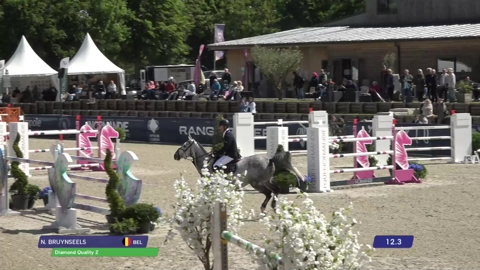 Image Julien Épaillard et Donatello d'Auge