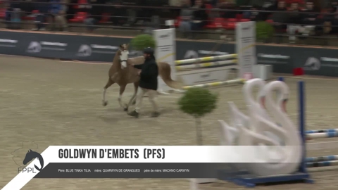 Image Julien Épaillard et Donatello d'Auge