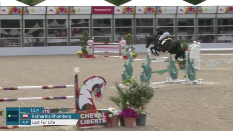 Image Julien Épaillard et Donatello d'Auge