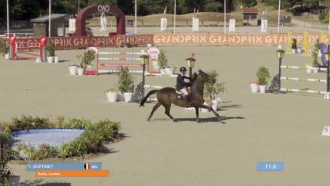 Image Julien Épaillard et Donatello d'Auge