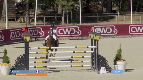 Image Julien Épaillard et Donatello d'Auge