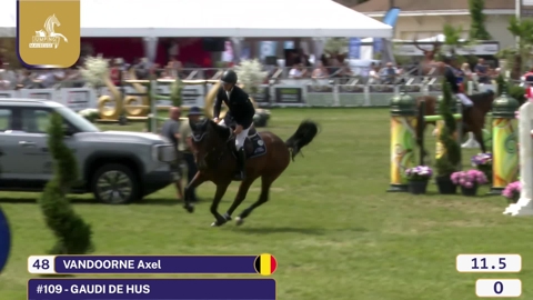 Image Julien Épaillard et Donatello d'Auge