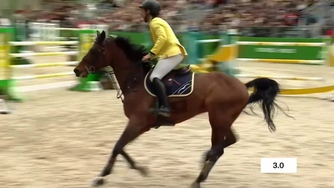 Image Julien Épaillard et Donatello d'Auge