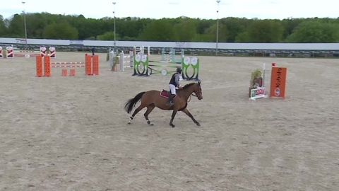 Image Julien Épaillard et Donatello d'Auge