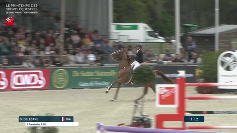 Image Julien Épaillard et Donatello d'Auge