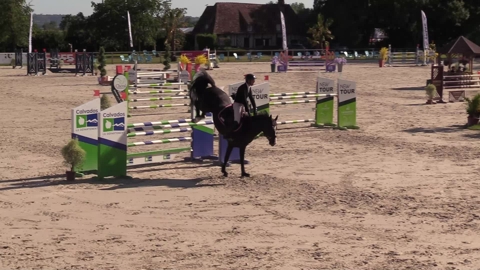 Image Julien Épaillard et Donatello d'Auge