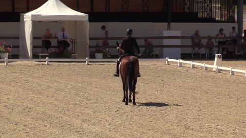 Image Julien Épaillard et Donatello d'Auge