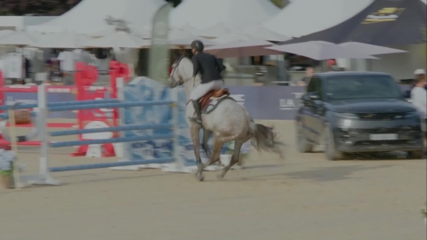 Image Julien Épaillard et Donatello d'Auge